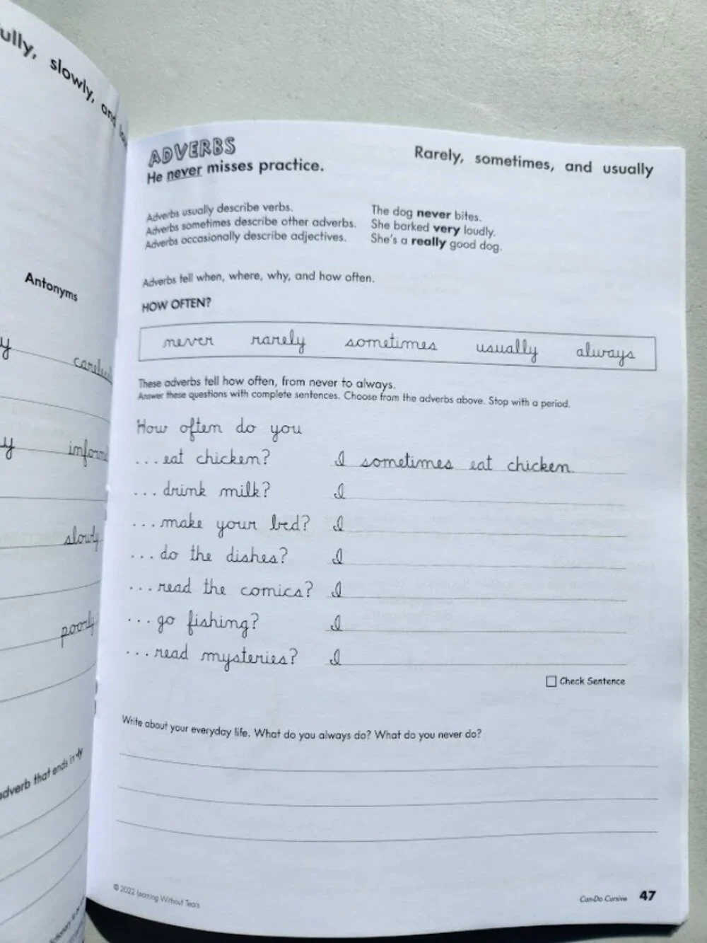 NEW Can-Do Cursive Student Workbook 5th Grade Handwriting Without Tears Writing